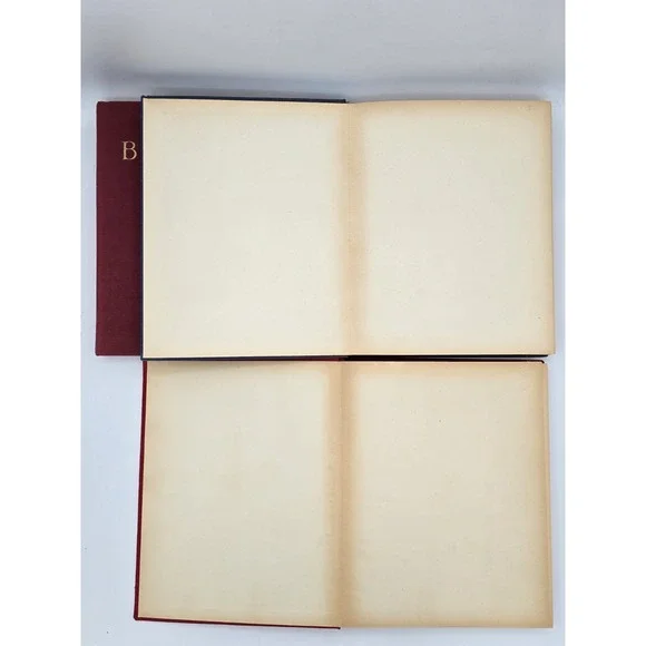 3 Lot Istituto Italiano D'Arti Grafiche Books - Bramante, Giambellino, Giorgione - Picture 7 of 16